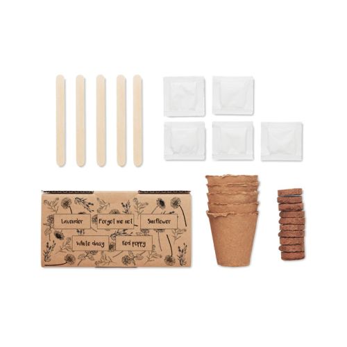 Flowers growing kit - Image 2